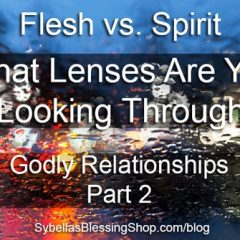 Flesh vs Spirit - Godly Relationships Part 2