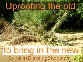 Prophetic Word: Uprooting the old to bring in the new