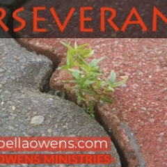 Perseverance- an encouraging word