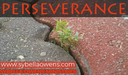 Perseverance- an encouraging word