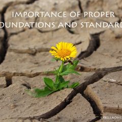 Importance of Proper Foundations and Standards